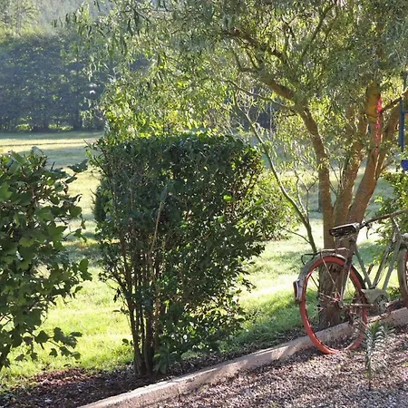 Le Domaine De La Mossig Freudeneck-wangenbourg - Els02049-dya