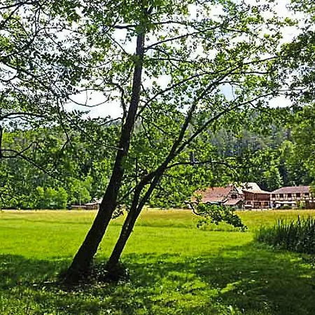 Apartament Le Domaine De La Mossig Freudeneck-wangenbourg - Els02049-dya Wangenbourg-Engenthal