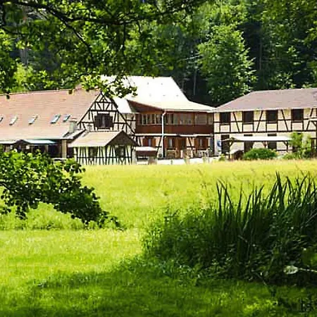 Le Domaine De La Mossig Freudeneck-wangenbourg - Els02049-dya *