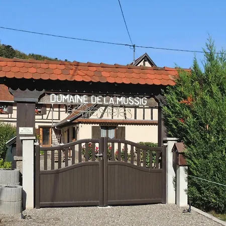 Le Domaine De La Mossig Freudeneck-wangenbourg - Els02049-dya Wangenbourg-Engenthal